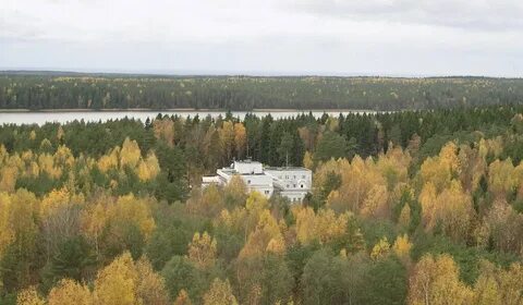 Зеркальный отдых