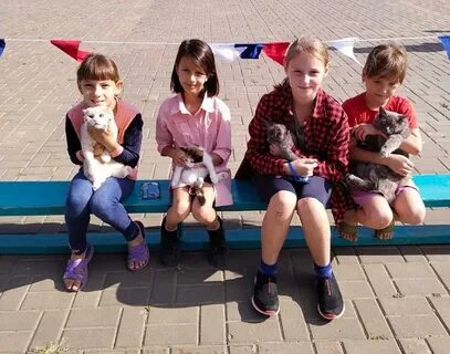 Погода в котове