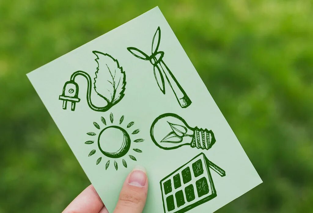 Done eco. Eco friendly. green economy. sustainable quiz. best logo idea for sustainable company.