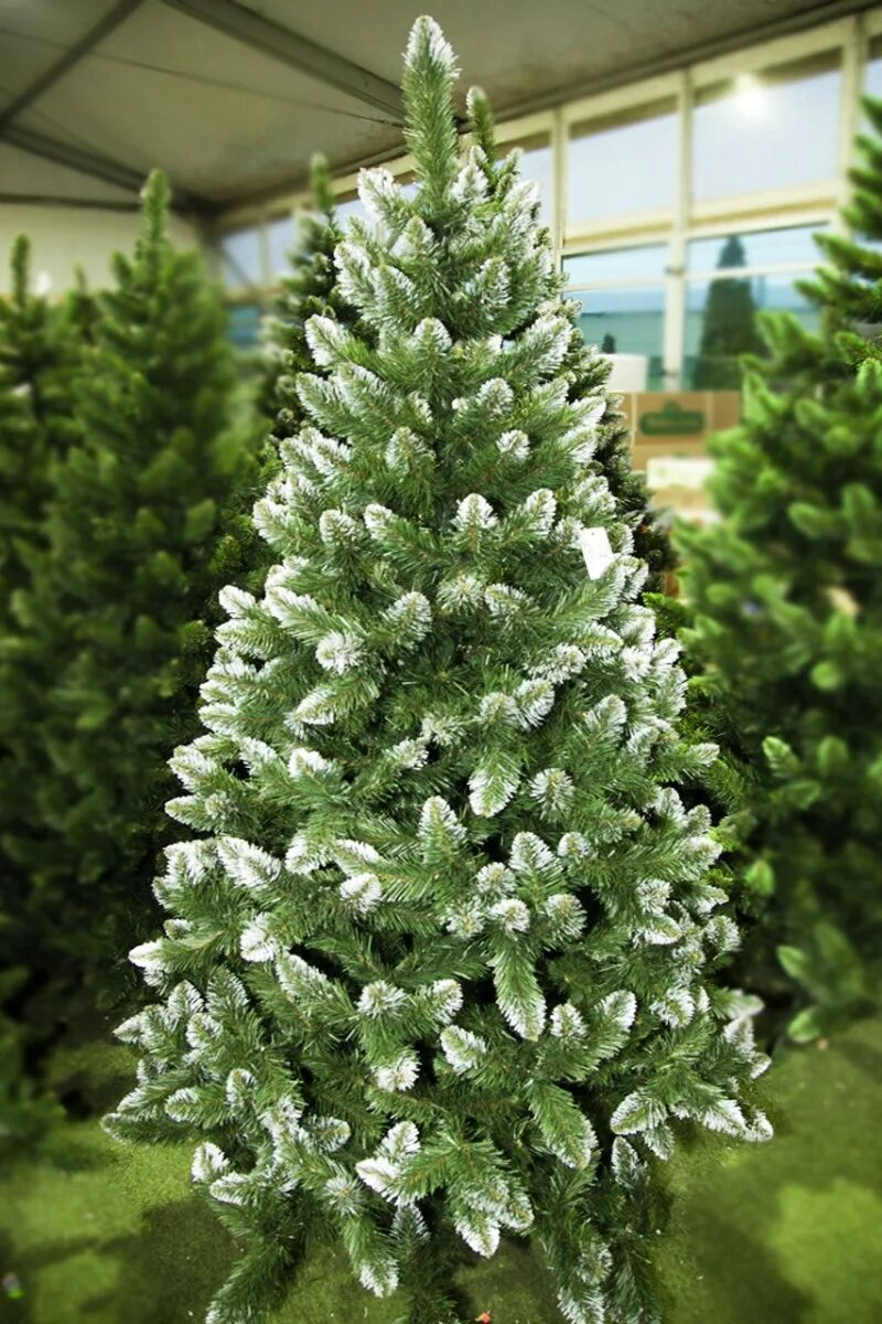 Елка с зелеными игрушками. Елка искусственная зеленая. Елка с белыми и золотыми игрушками. Сосна с белыми кончиками. Елка зелено серебристая.