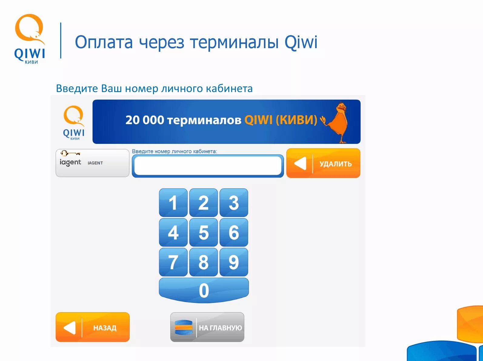 Как Пополнить Перфект Мани с Киви Кошелька Финанс Центр