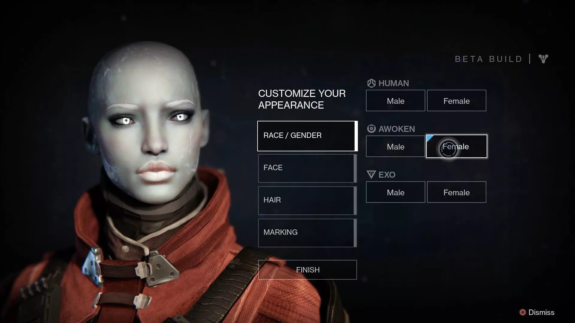 Дестини гарнет. Destiny 2 character creation. Destiny character creation. Переключение между персонажами дестини 2. Destiny 2 character creation.