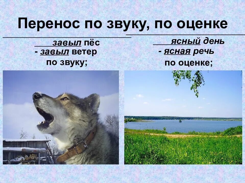 Волчий переносное значение. Волчий переносное значение