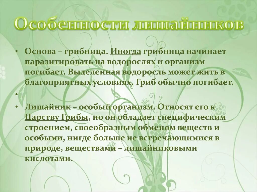 Характерные признаки лишайника. Особенности лишайников. Характеристика лишайников. Характеристика лишайнико. Лишайники признаки.