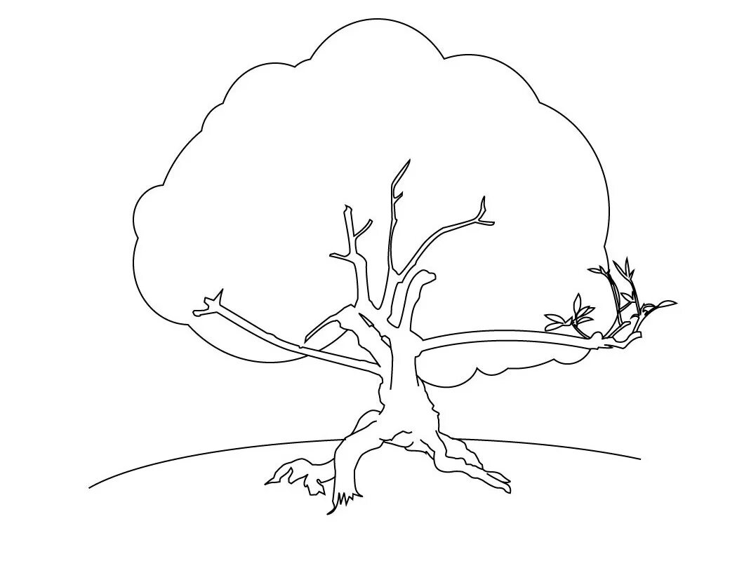 Page tree