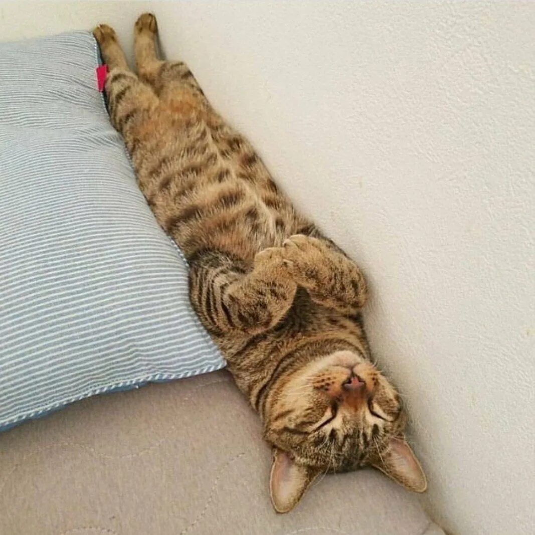 Уставшие но довольные
