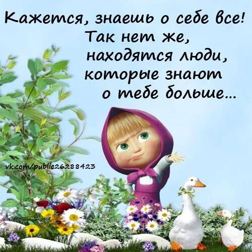 Кажется знаешь. Кажется знаешь. Кажется знаешь. Статусы про недосып прикольные. Новый год к нам мчится мем.