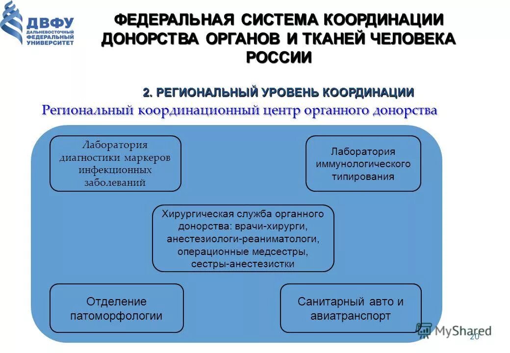 работу всех органов координируют системы. регуляция деятельности органов система. работу всех органов координируют системы. работу всех органов координируют системы. нервная система координирует работу всех органов.