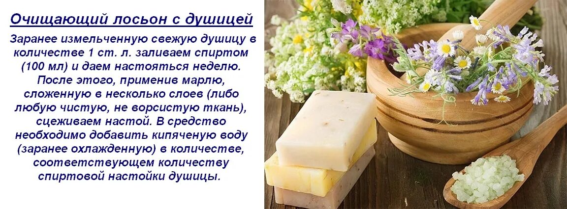 Трава душица применение дома в чай отчего. Лекарственные травы от прыщей. настой душица. польза и противопоказания душицы травы. отвары трав от прыщей.