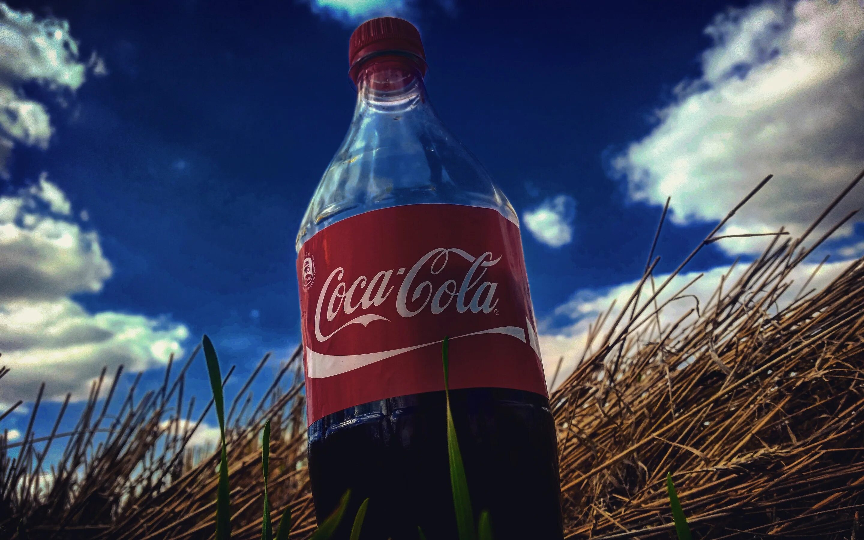 Город кока колы. Кока кола. coca cola компания. cool cola. кока кола картинки.