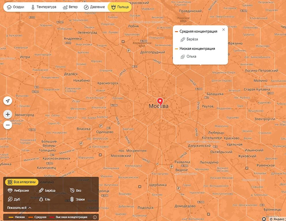 Приложение для аллергиков пыльца. Карта пыльцы.