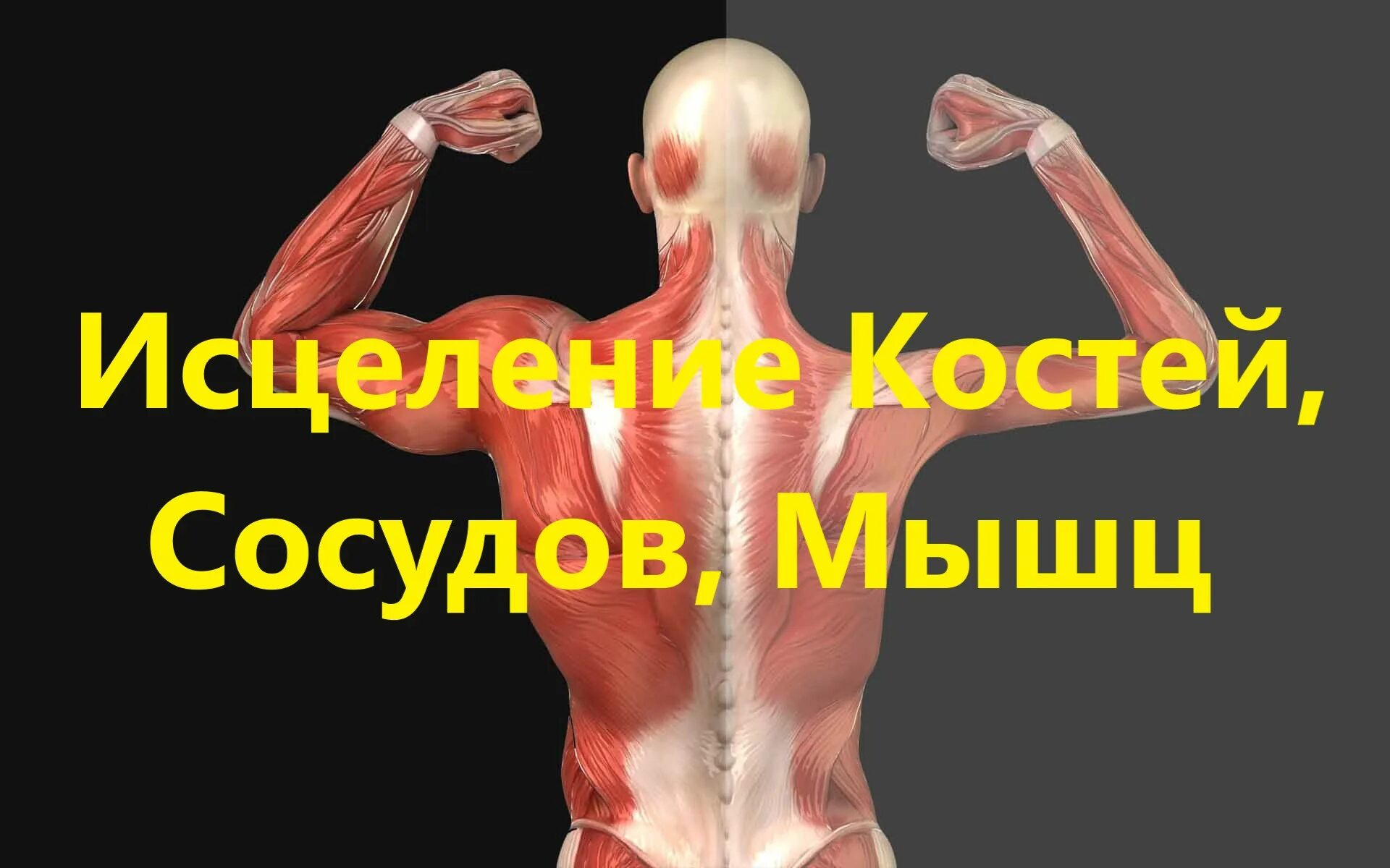 Матрица костей исцеление мышц. Гаряев матрица исцеления мышц, костей, сосудов. Матрица Гаряева исцеление костей сосудов мышц. Матрица Гаряева кости мышцы сосуды. Настоящая матрица Гаряева коррекция костно мышечной системы.
