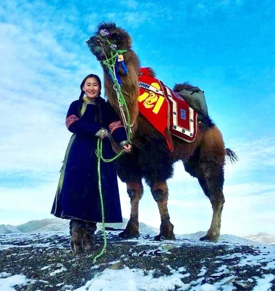 Монголия этнотуризм. Монгольская лошадь. Центральная азия монголия. Семеновки в монголии. Хорчин монголия.