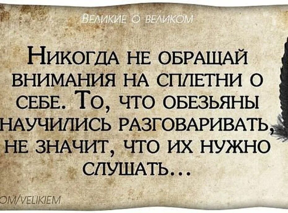 О жизни человека подобного. Высказывания про сплетников. Статусы про сплетников. Цитаты про сплетни. Картинки с Цитатами.