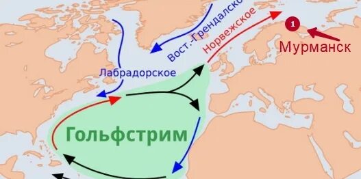 Теплые течения лабрадорское. Гольфстрим Мурманск течение. Теплое Северо атлантическое течение Мурманск. Течение Гольфстрим на карте Мурманск. Гольфстрим и Лабрадорское течение.