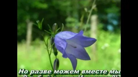 В колокольчике таится