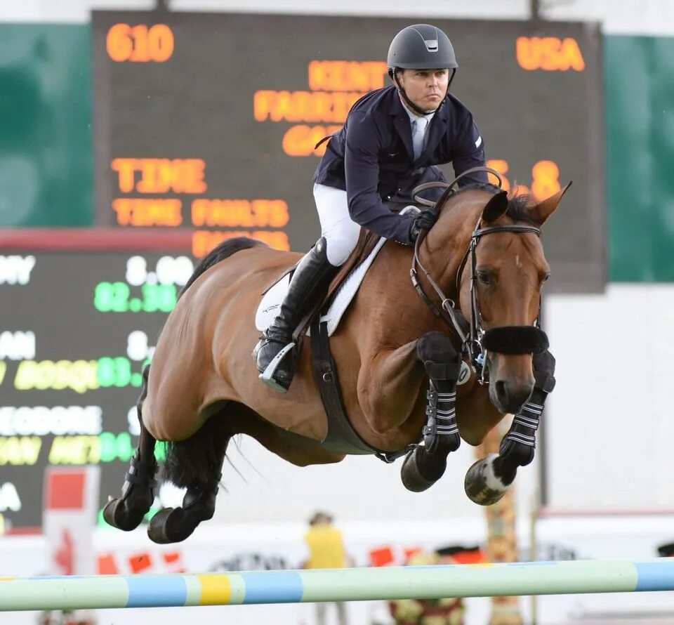 Кент Фаррингтон конкур. Гнедая лошадь конкур. Horse jumping  конкур. Show jumping