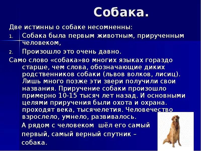 Слово шавка. Происхождение слова собака. История происхождения слова собака. Текст про собаку. Слово собака происхождение слова.