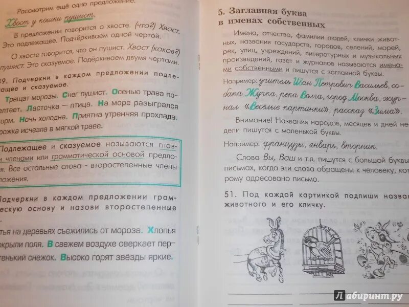 Учусь в школе и дома шклярова. Шклярова русский язык 1 класс. шклярова учимся в школе и дома. шклярова русский язык 4 класс. гдз по русскому языку шклярова.