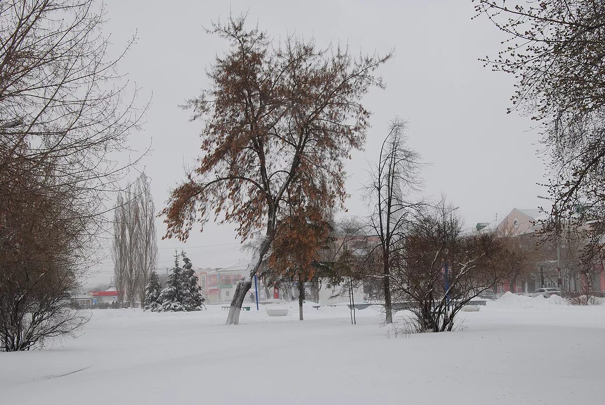 Набережная Шадринск зимой. Шадринск зимой. Шадринск природа. Красивые места в Шадринске.