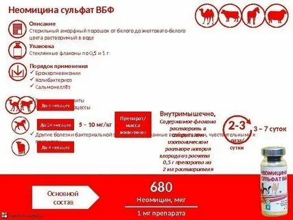 Неомицина сульфат инструкция