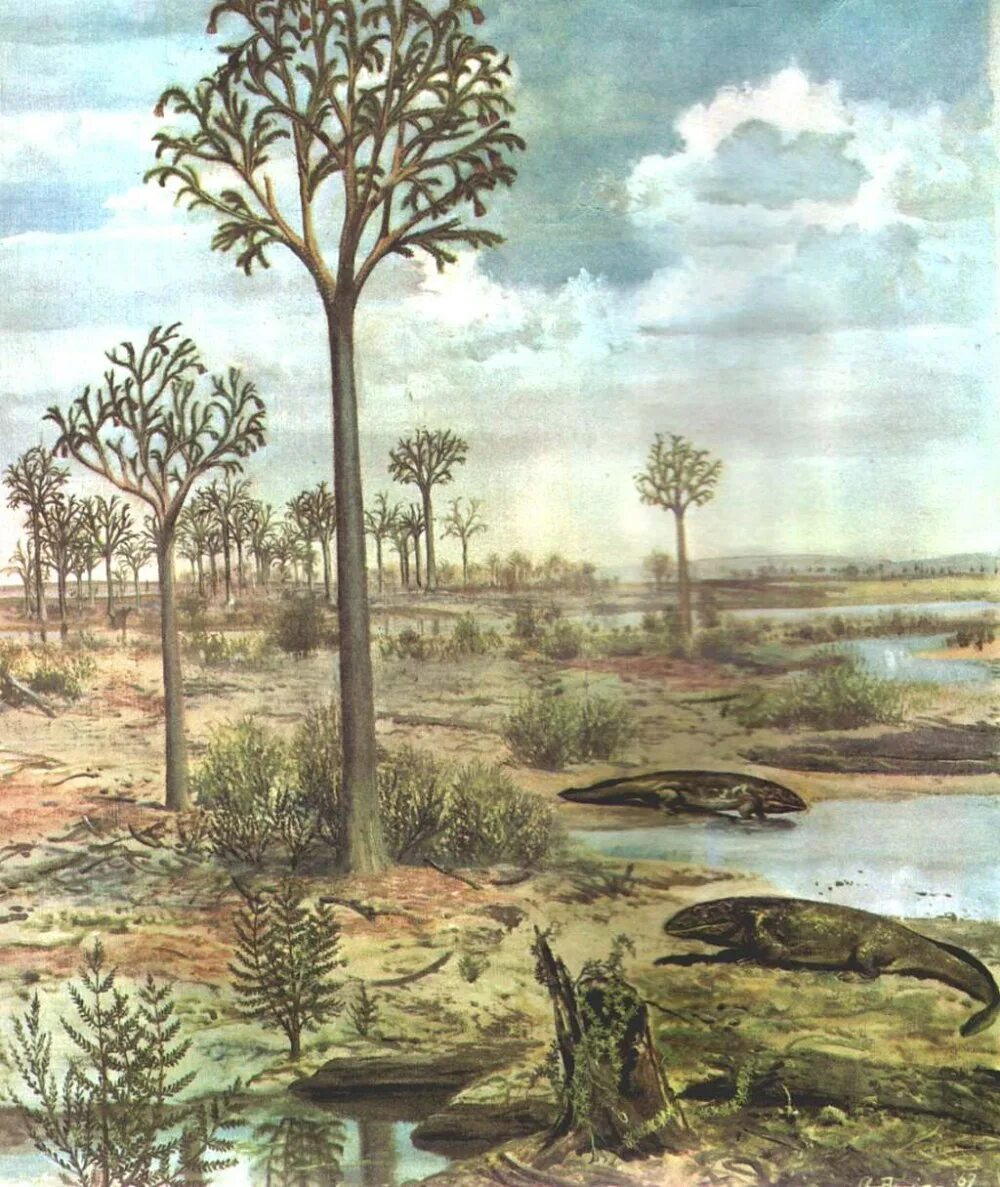 Палеозой девон растения. Девон период палеозойской. Девонский период палеозойской эры. Девонский период палеозойской эры. Девонский период палеозойской эры.