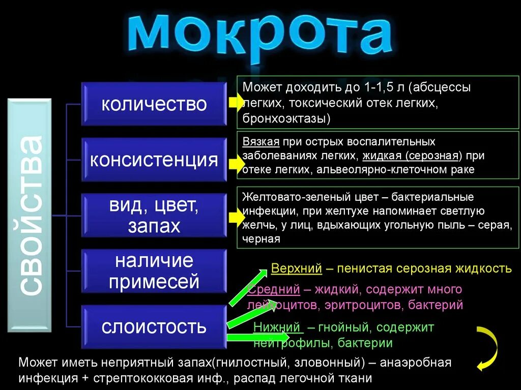 Мокрота при абсцессе. Мокрота при отеке легкого. Цвет мокроты при заболеваниях органов дыхания. Характер мокроты при отеке легких. Мокрота притотеке легкого.