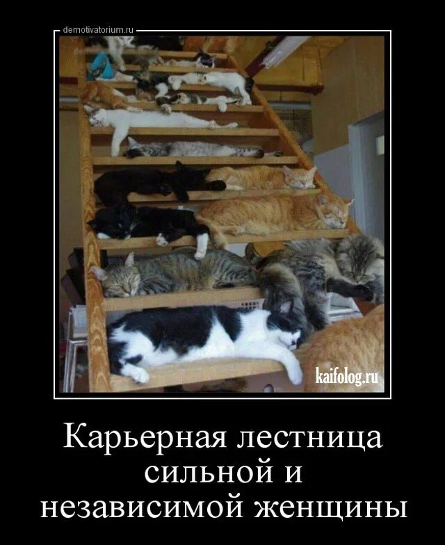 Близко независимый