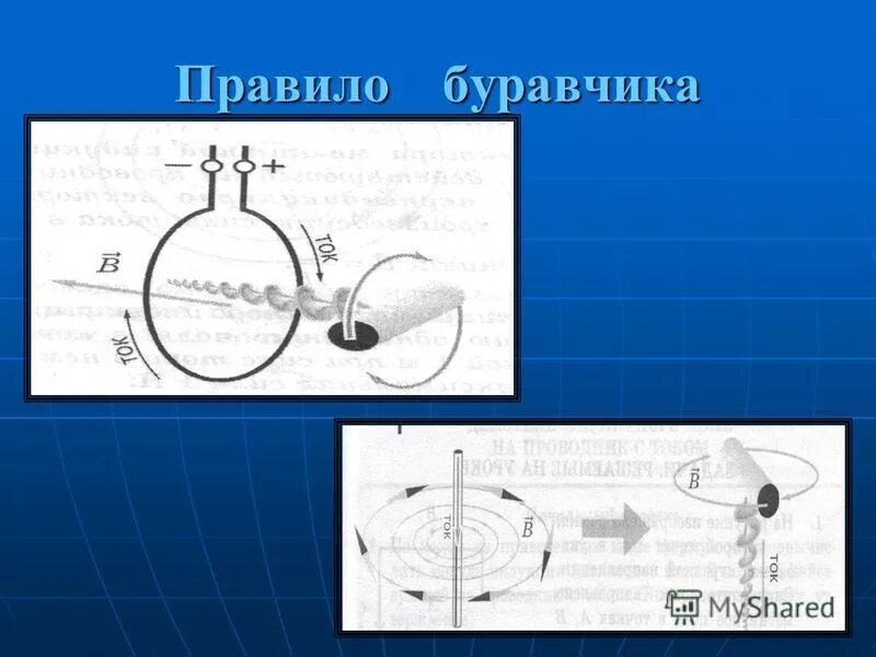 Правило буравчика собака