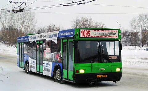 95 автобус новосибирск