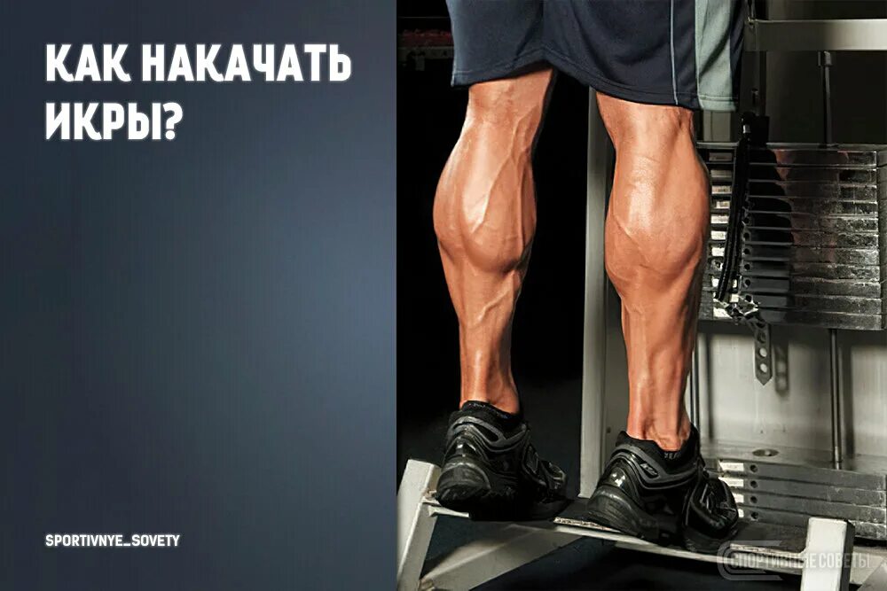 Накаченные икры. Икры можно накачать. Раскачать икры. Огромные икры. Красивые икры.