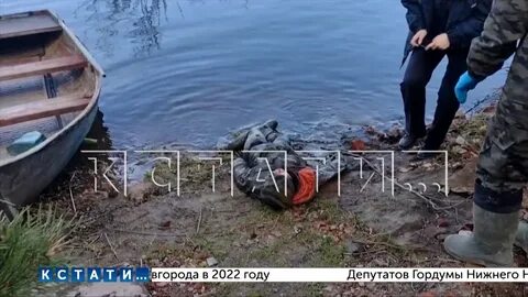 Мальчик в кстове