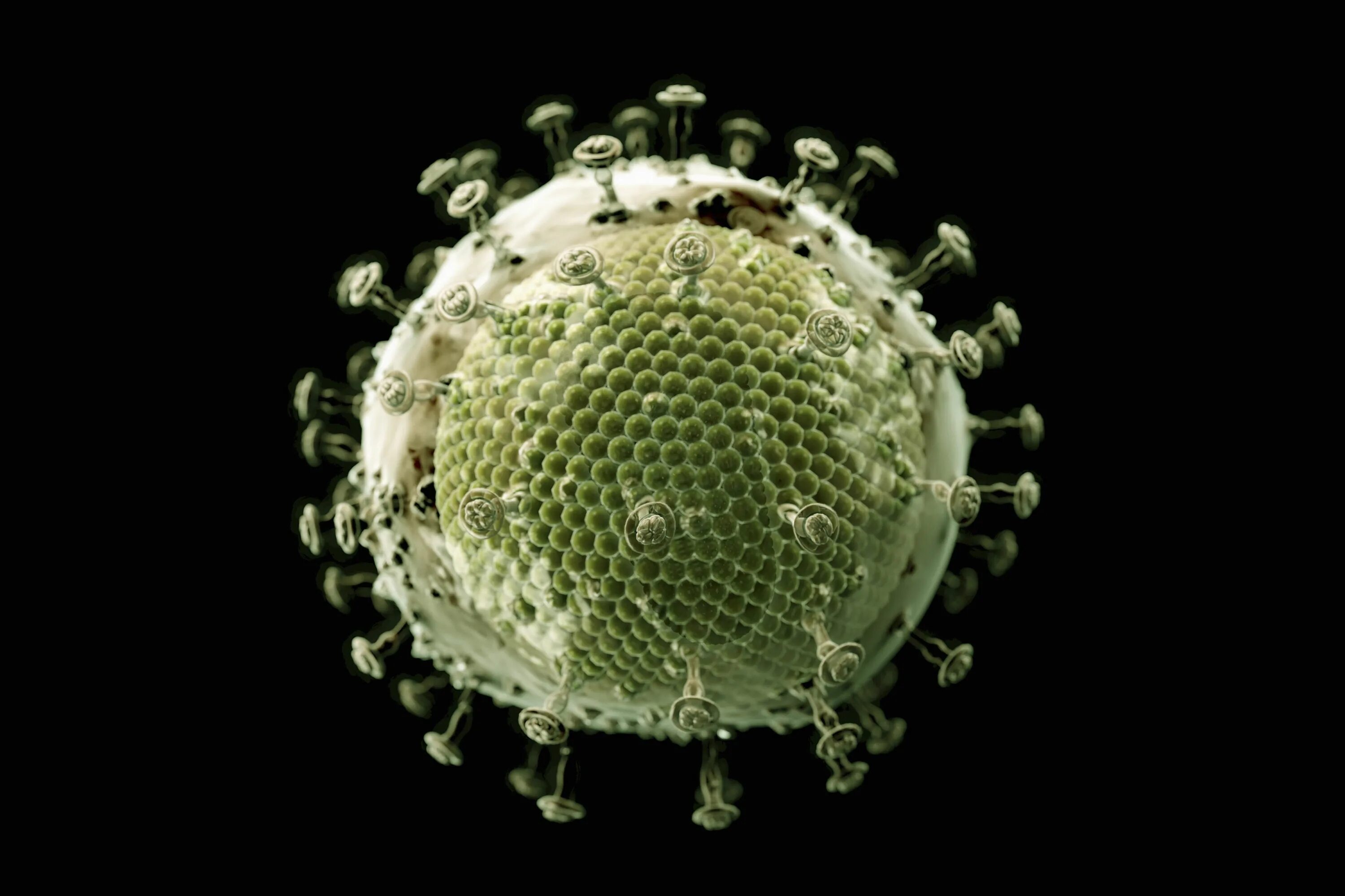 Вирус СПИДА под микроскопом. Вирус иммунодефицита под микроскопом. Вирусы вне клетки. Вирус ВИЧ под микроскопом.