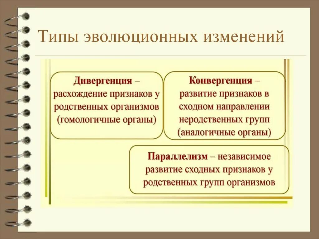 Какие виды изменения. Какие виды изменения