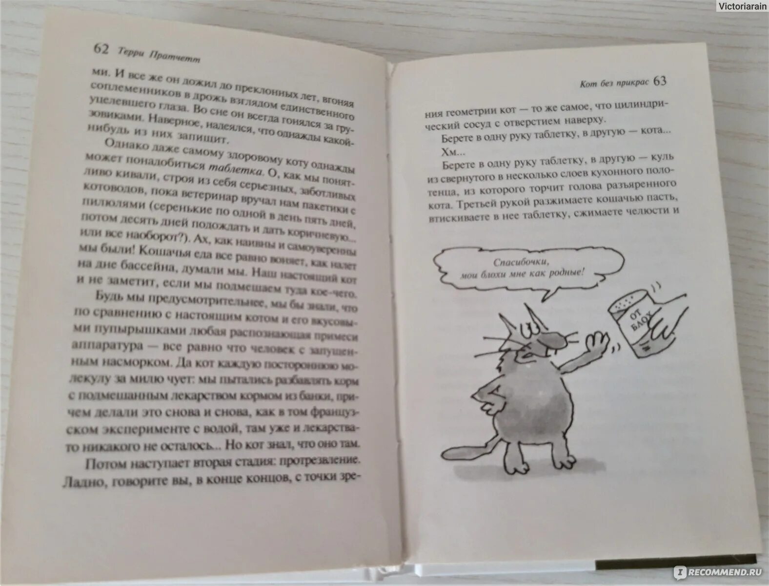 Читать любовь без прикрас. Терри Пратчетт кот. Кот, который любил книги. Кот без прикрас книга. Пратчетт кот без прикрас.