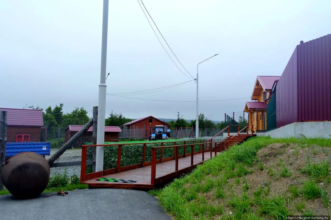 Погода в новиково алтайского края. П.Новиково Сахалин. Село Новиково. Село Новиково Сахалинской. Новиково Томская область.