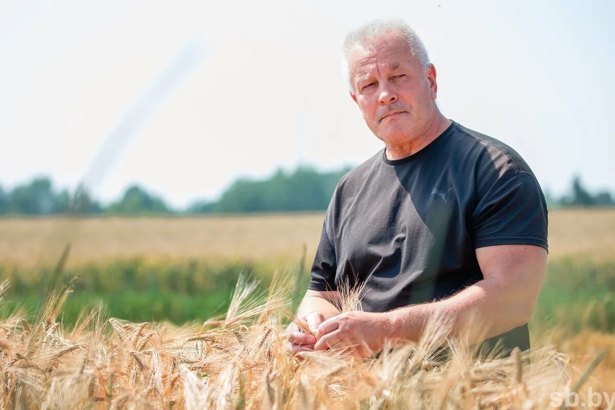 Современный агроном. Ооо спк урожай бураевского района. Главный агроном. Эконива гл. Агроном полевод.