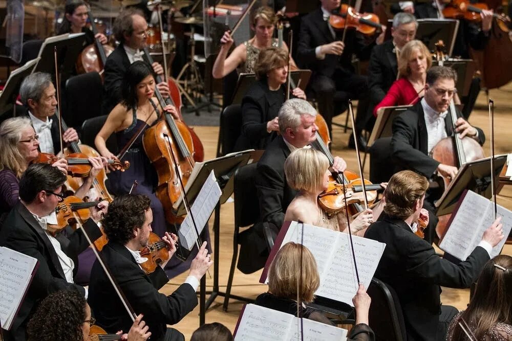 Strings section