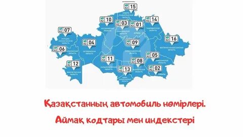 мүше билеуші порно