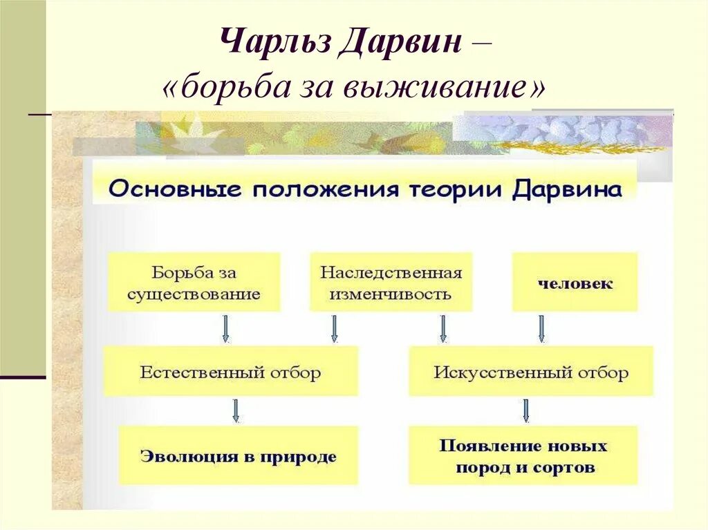 Теория Дарвина борьба за существование. Формы борьбы за существование Дарвина. Виды борьбы за существование по Дарвину. Эволюционное учение дарвина борьба за существование