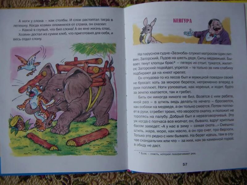 Житков про слона. Как слон спас хозяина читать
