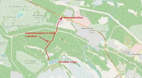 Автобус 494 белоостров расписание
