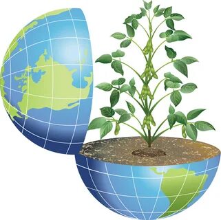 Ecological plants