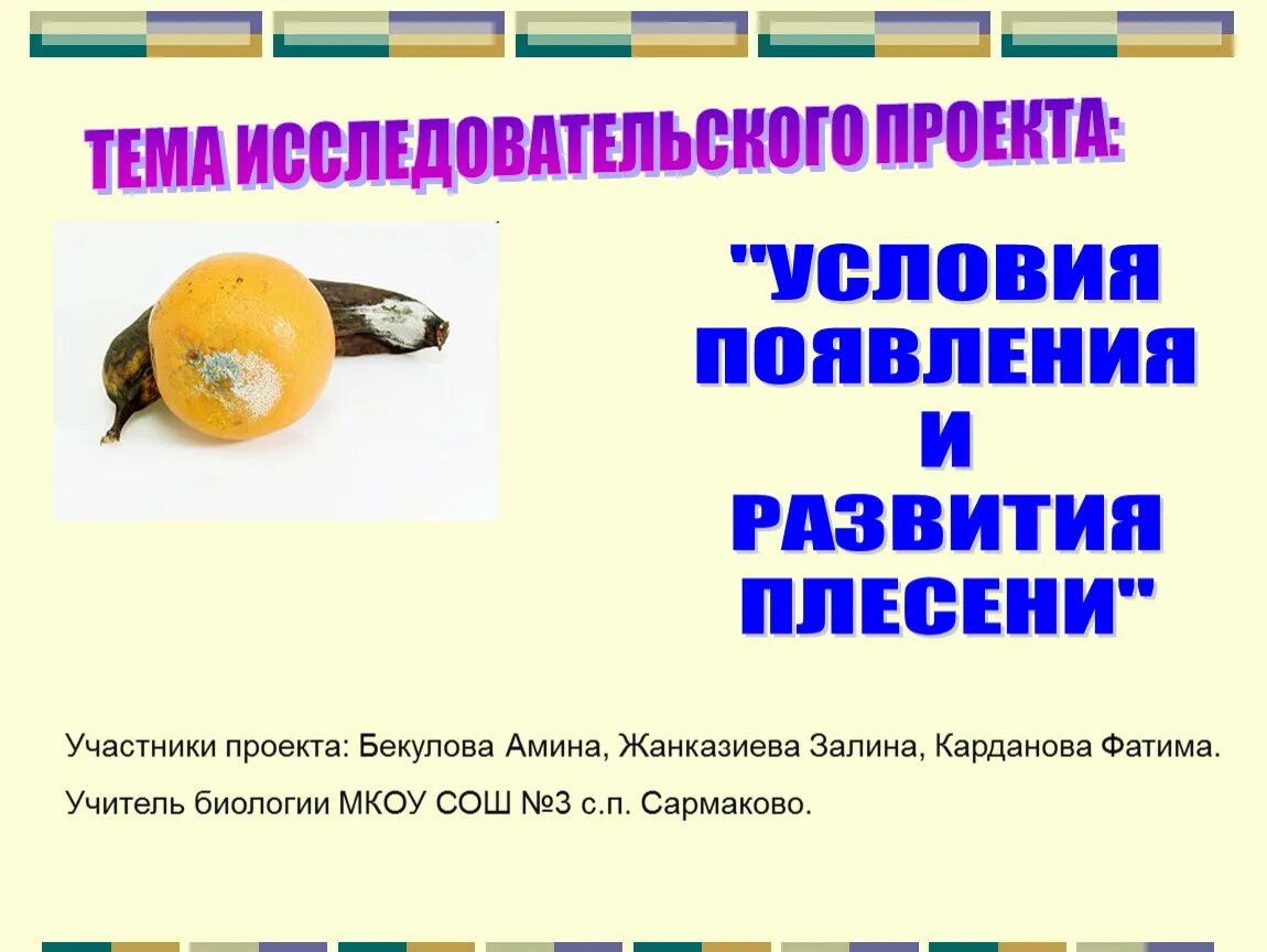 Влияние какого условия на развитие плесени иллюстрирует. Условия появления и развития плесени. Условия возникновения плесени исследовательский проект. Условия возникновения плесени. Условия для развития плесени.