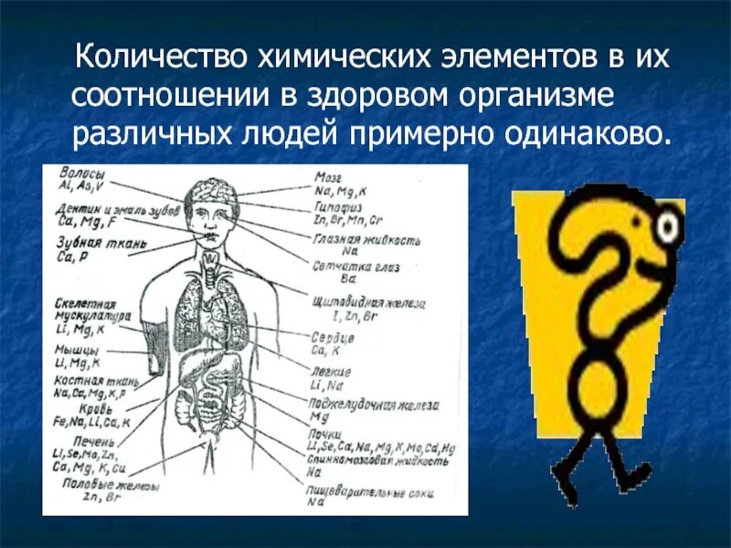 Элементы в организме человека. Химические элементы в организме человека. Элементы в человеческом организме. Химические элементы в человеческом организме.