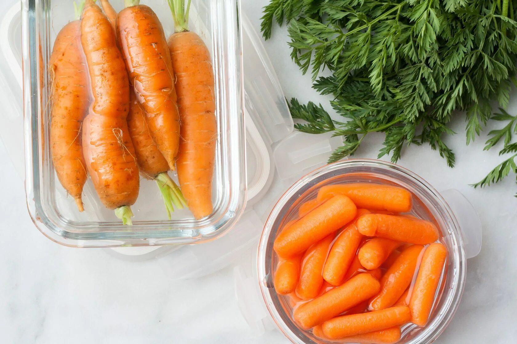 Морковь. Мелкая морковь. Маленькие морковки. Хранение моркови. Как лучше хранить морковь