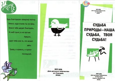 Буклет экология