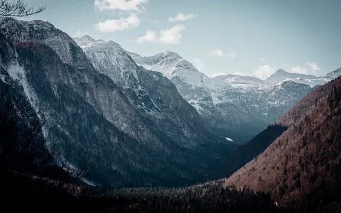 Mount raw