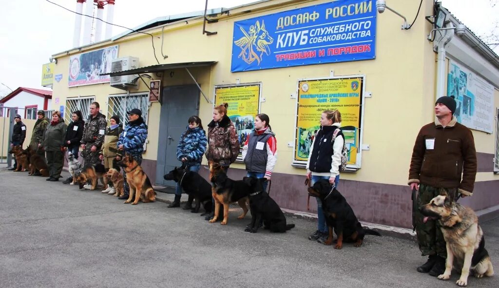 Клуб собаководства сайт. Служебное собаководство досааф. клуб служебного собаководства. центральный клуб служебного собаководства. инструктор клуба служебного собаководства.
