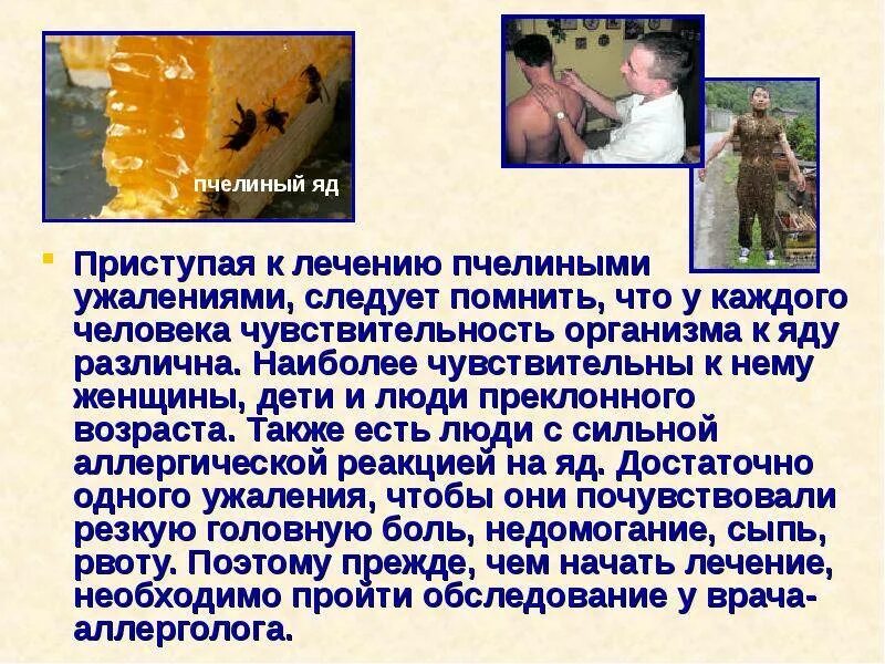 Польза от укуса осы для человека. Полезен ли пчелиный яд для человека. Укусы насекомых и защита от них. Информация о ядовитых насекомых. Польза от укуса осы для человека.